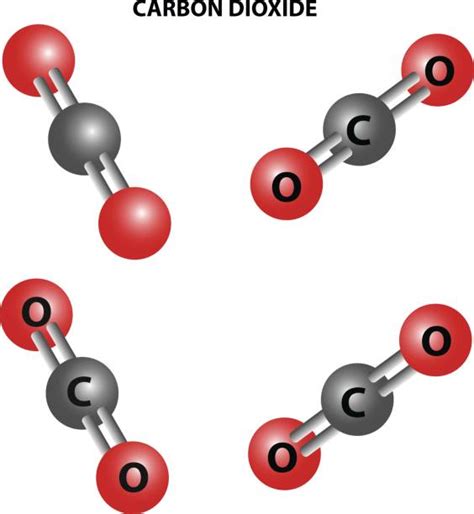 Best Carbon Dioxide Molecule Illustrations, Royalty-Free Vector Graphics & Clip Art - iStock