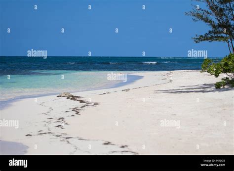 Tropical Beach in Falmouth Jamaica. Palm Trees and White Sand Beaches ...