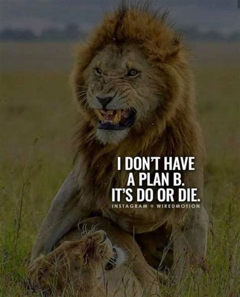 I dont have a plan B. Its do or die. https://ift.tt/2YCxY4P | Do or die ...