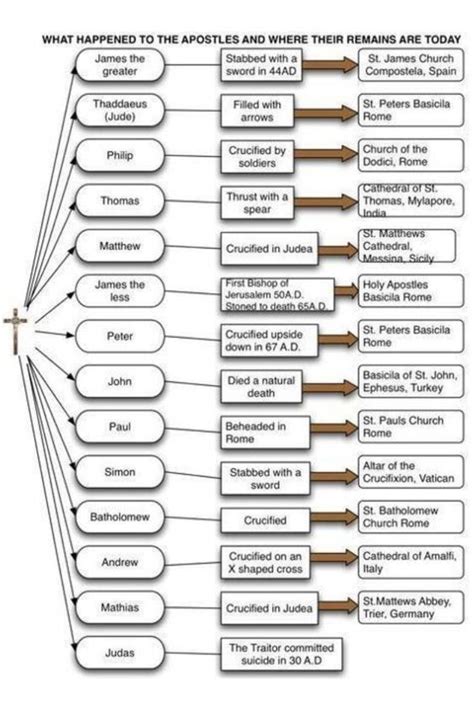 What Happened to the Apostles and where their remains are today | Christian bible study, Bible ...