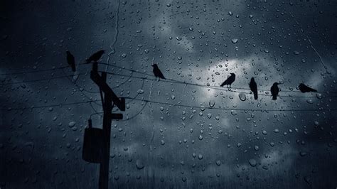 817 Wallpaper Dark Rain Images - MyWeb