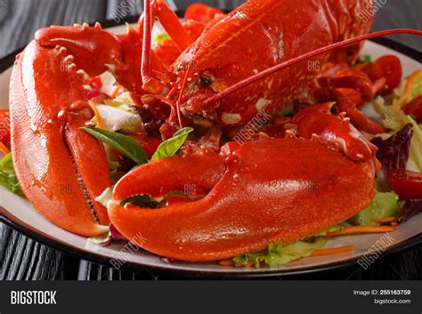 Whole Cooked Lobster Image & Photo (Free Trial) | Bigstock