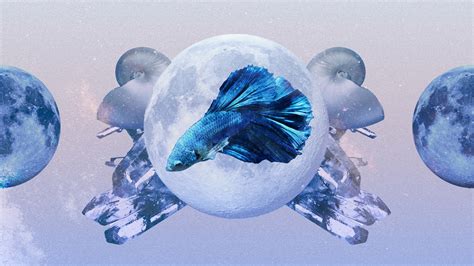 Pisces Monthly Horoscope for June 2023 — Read Your Sign's Love and ...