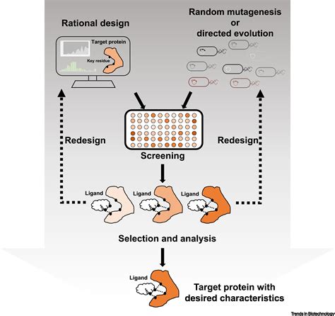 Protein Engineering for Improving and Diversifying Natural Product Biosynthesis: Trends in ...