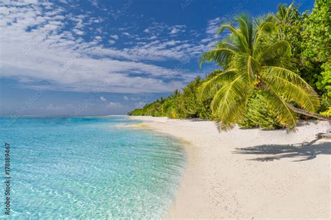 Tranquil beach scene. Exotic tropical beach landscape for background or ...