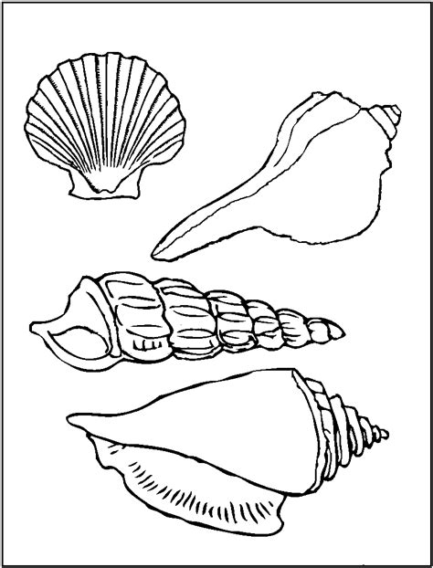 Free Printable Seashell Coloring Pages For Kids | Ocean coloring pages, Animal coloring pages ...