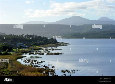 South Africa, Western Cape, Wilderness National Park Stock Photo - Alamy