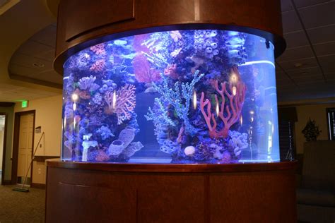 Artificial Inserts for Aquariums - Midwest Custom Aquarium