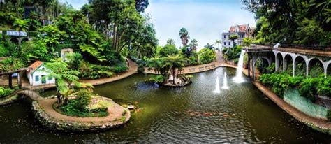 The Most Beautiful Botanical Gardens in Madeira