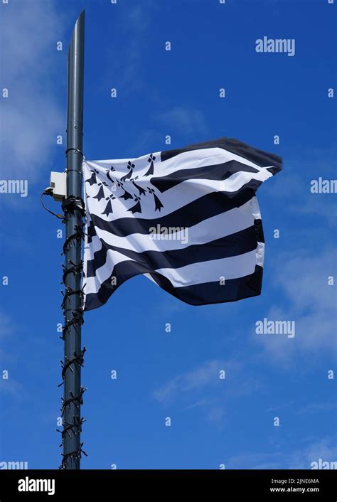 View of the Breton flag flying in Brittany, France Stock Photo - Alamy