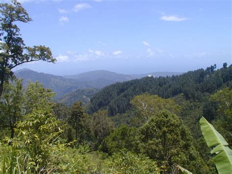 How to Visit The Blue and John Crow Mountain National Park in Jamaica ...