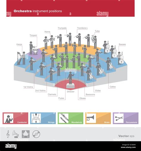 Classical orchestra infographic with instruments, positions and artists playing Stock Vector ...