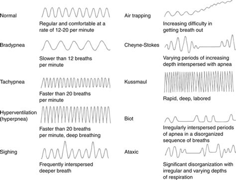 Neurogenic Breathing Patterns