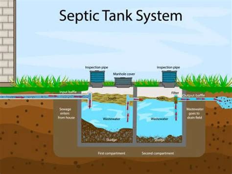 Role of Enzymes in Septic Tank