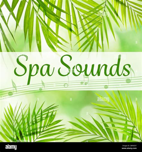 Spa sounds concept. Palm leaves background Stock Photo - Alamy