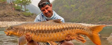 India needs to set a new conservation agenda for mahseer