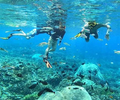 Sanur Snorkeling - Bali Snorkeling