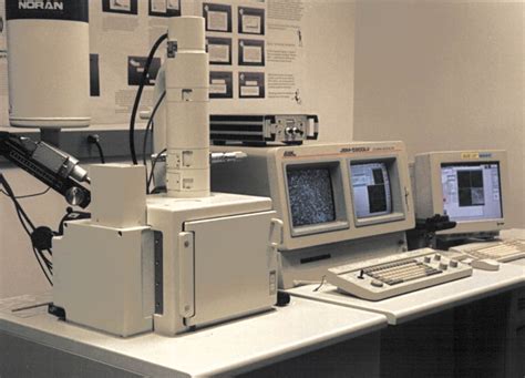 Scanning Electron Microscopy (SEM)