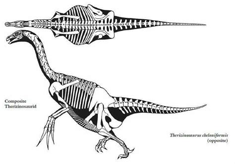 Therizinosaurus cheloniformis Prehistoric Wildlife, Prehistoric Dinosaurs, Prehistoric Creatures ...