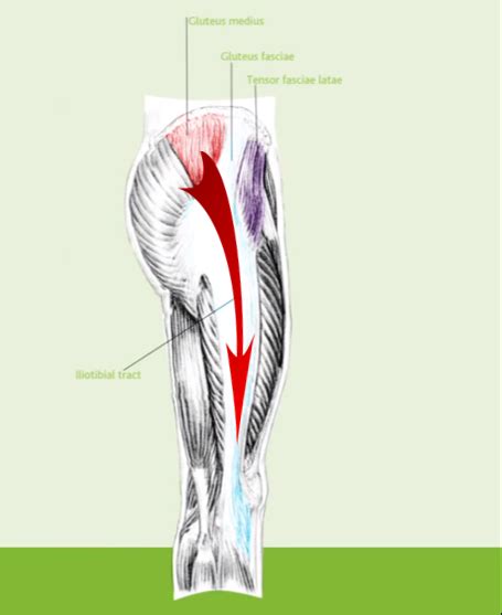 Isometric exercises for gluteal tendinopathy - lightsguide