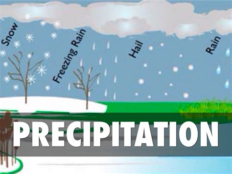 In The Diagram Shown Which Process Is Precipitation The Wate