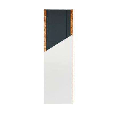 DRICORE SMARTWALL 4 in. x 2 ft. x 8 ft. All-in-One Wall Panel FG10019 ...