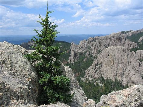 15 Best Custer State Park Hiking Trails (Short & Scenic!)