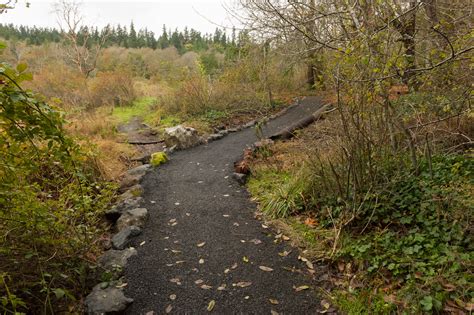 Bainbridge Island Trails, Bainbridge Island, WA