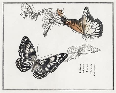 Churui Gafu by Morimoto Toko | butterflies & flowering plants CC0 art - rawpixel