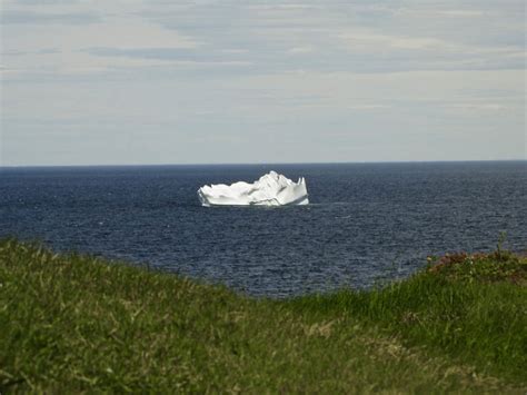 Experiencing Newfoundland's Iceberg Alley - The Thousand Miler