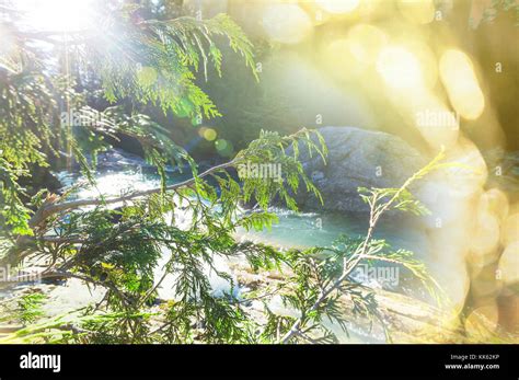 Waterfall in spring forest Stock Photo - Alamy