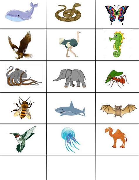 ON SALE Categorizing Animals: Land, Water, & Air (Science Curriculum/Speech Therapy/Homeschool ...