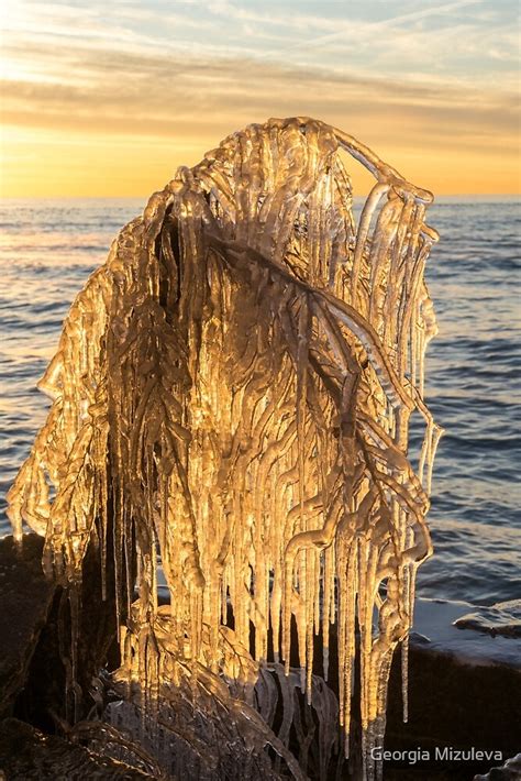 "Natural Ice Sculpture - Frozen Tree Statue on the Lakeshore" by Georgia Mizuleva | Redbubble