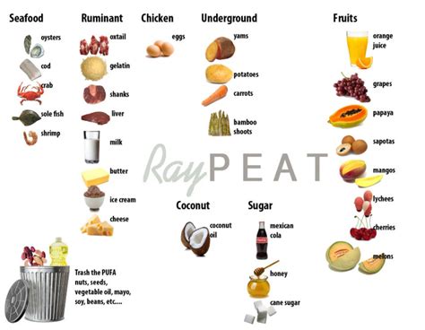 Health and Happinezz: Ray Peat