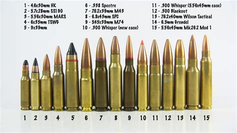 AR10 vs AR15: Which is Better for You? 🔥 The BIG Comparison 2019 ...