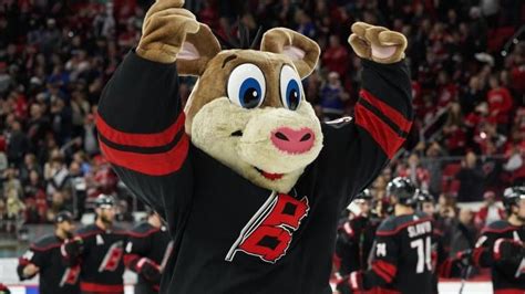 WATCH: Carolina Hurricanes mascot surprises groom on wedding day ...