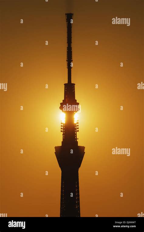 Tokyo Skytree tower in the evening, Tokyo, Japan Stock Photo - Alamy