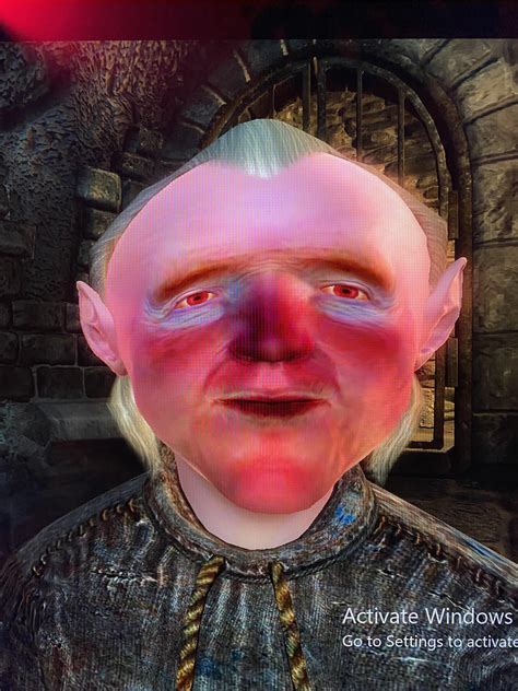 This is definitely my most cursed character so far : r/oblivion