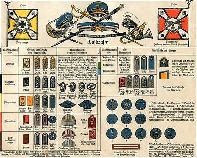 WW2 German Luftwaffe Ranks and Insignia Poster | eBay