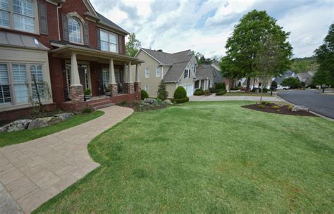 Tips for Effective Summer Lawn Care in Georgia