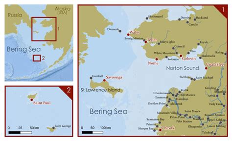 Bering Sea Elders discuss recent changes in the Arctic | Earth | EarthSky