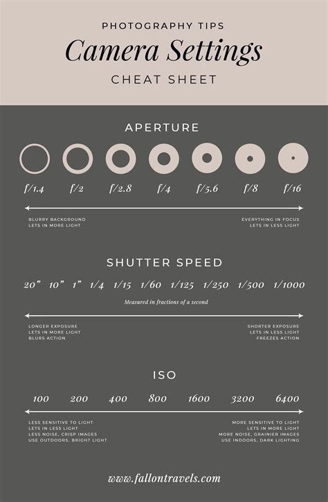 eetbaar Absoluut schoorsteen camera guide for beginners Beeldhouwer ...