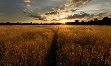 Harborough Hay field at sunset by DavidKennard on DeviantArt