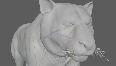 3D Model Tiger Rigged - TurboSquid 1880954