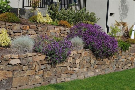 32 best images about Landscaping on Pinterest | Gardens, Landscapes and Hummingbirds