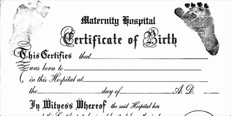 Fake Birth Certificate Template