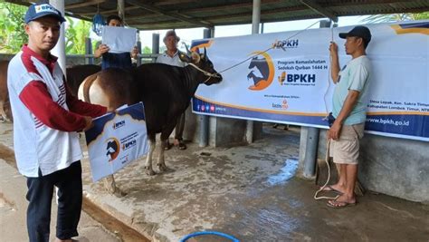 LAZISMU DAN BPKH SASAR PENERIMA MANFAAT SEDEKAH QURBAN DI NUSA TENGGARA BARAT - Lazismu