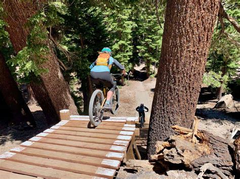 10 Helpful Mountain Biking Tips For Beginners