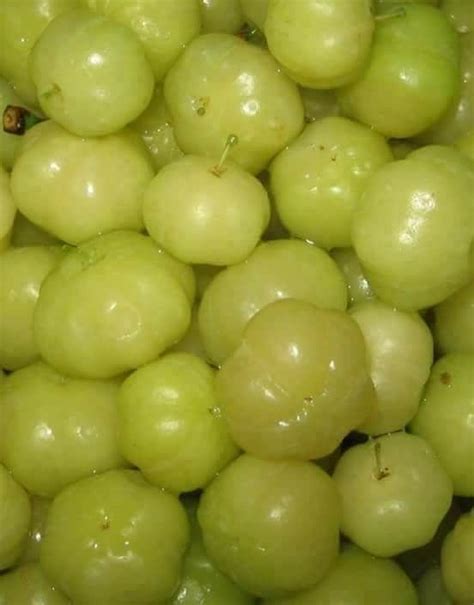 Cerezas | Exotic fruit, Puerto rican recipes, Fruit list