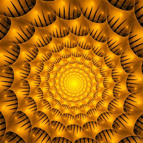 Golden Spiral Digital Art